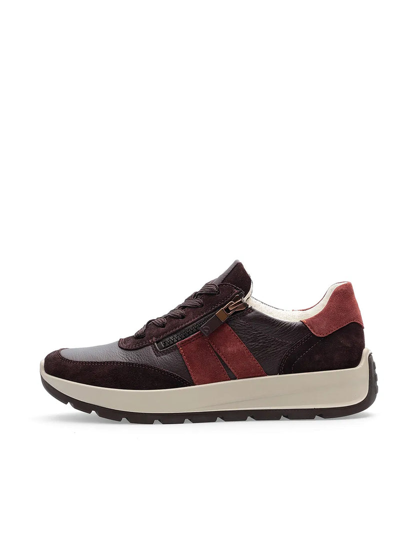 New York Sneakers, Amarone-Terra